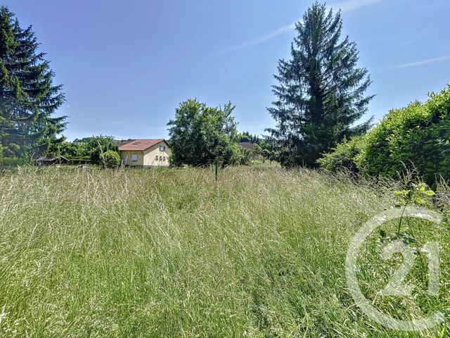 terrain - SELONCOURT - 25