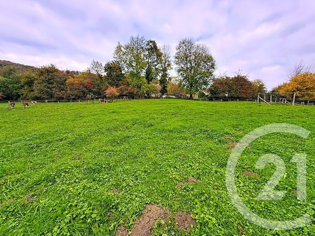 Afficher la photo en grand terrain à vendre - 1710.0 m2 - SOLEMONT - 25 - FRANCHE-COMTE - Century 21 Rollat Immobilier